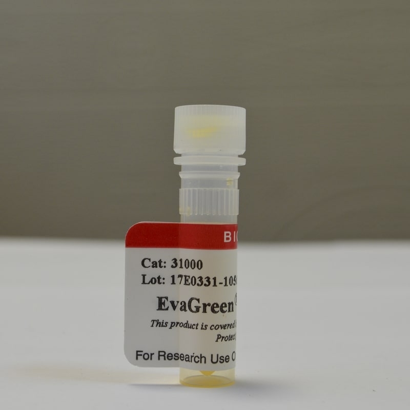 Краситель EvaGreen® Dye, 20X in Water