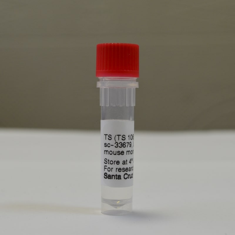 Антитела TS Antibody (TS 106)