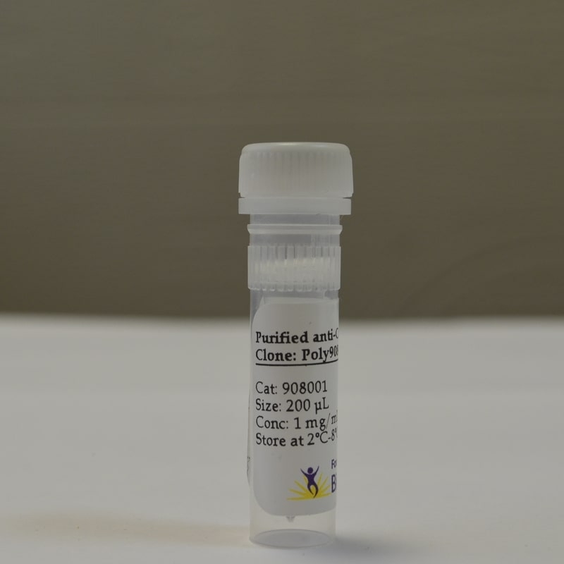 Антитела Purified anti-Cre Recombinase Antibody