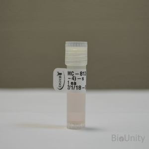 Антитела MC-813-70 (SSEA-4), supernatant 1 мл