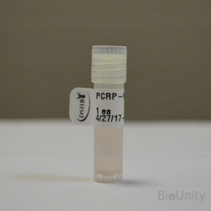 Антитела PCRP-NANOGP1-2D8, supernatant 1 мл